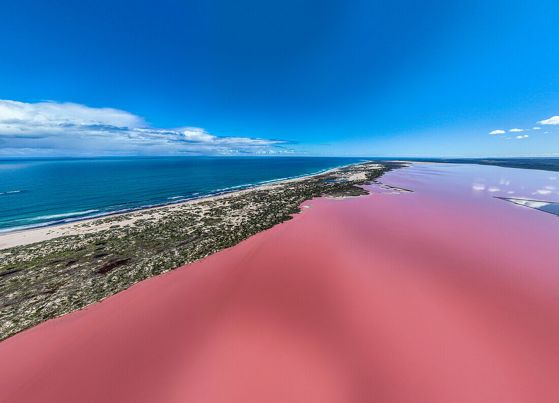 Aerial of the pink coloured Hutt Lagoon, Western Australia, Australia, Pacific