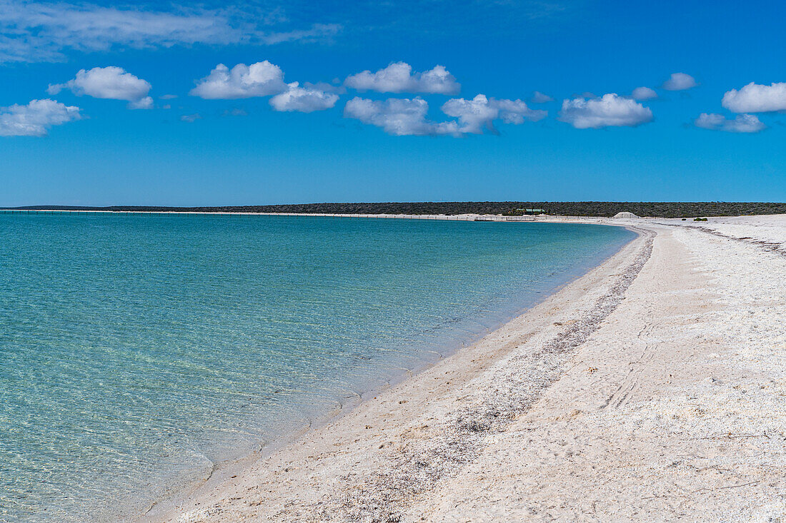 Shell Beach, Shark Bay, UNESCO World Heritage Site, Western Australia, Australia, Pacific