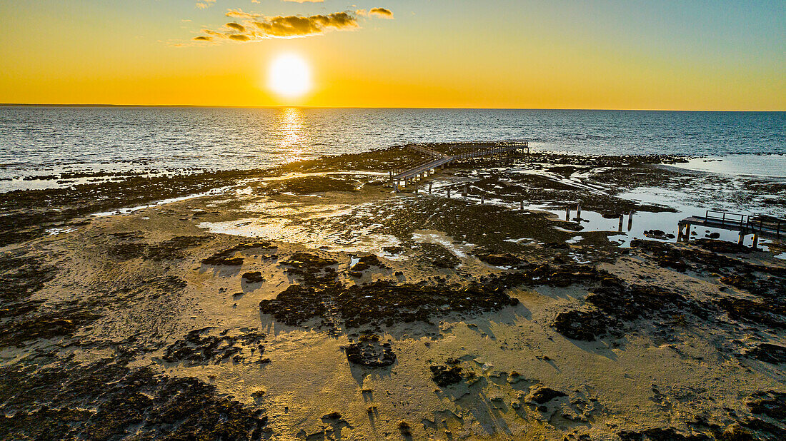 Aerial of the Hamelin Pool stromatolites, Shark Bay, UNESCO World Heritage Site, Western Australia, Australia, Pacific