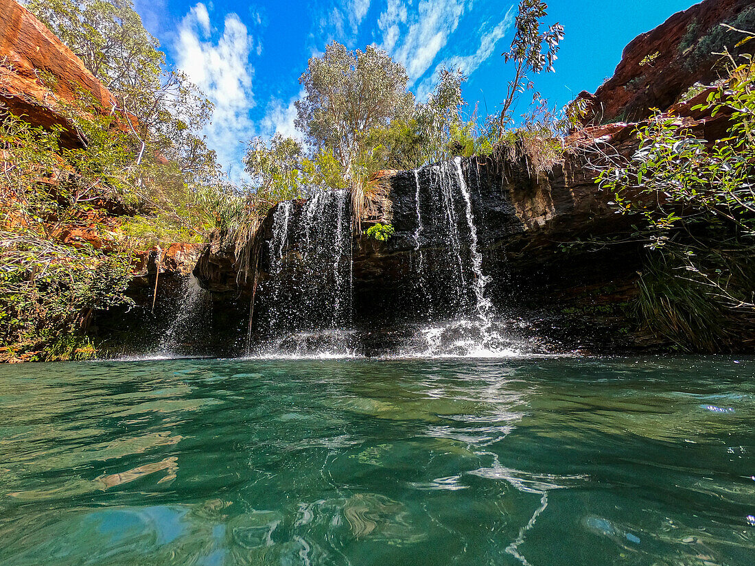 Fern Pool, Dale Gorge, Karijini National Park, Western Australia, Australia, Pacific