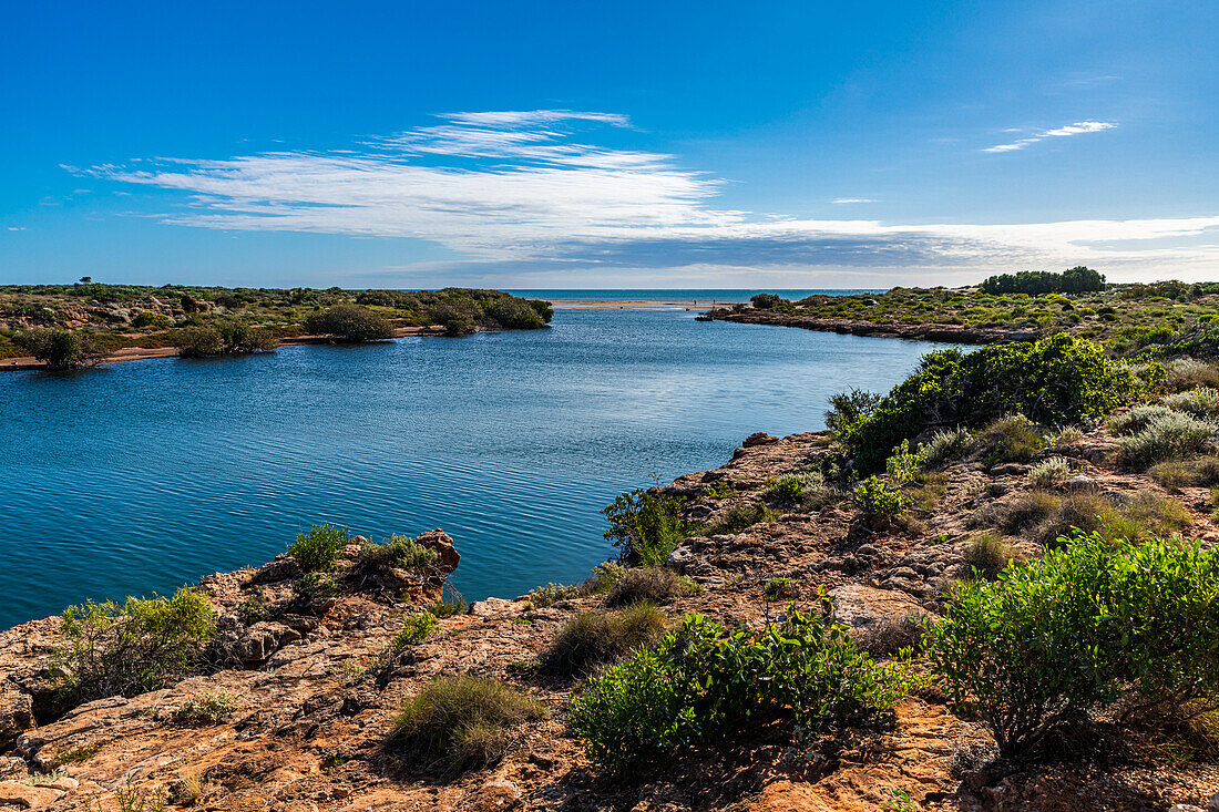 View over Yardie Creek, Ningaloo Reef, UNESCO World Heritage Site, Exmouth, Western Australia, Australia, Pacific