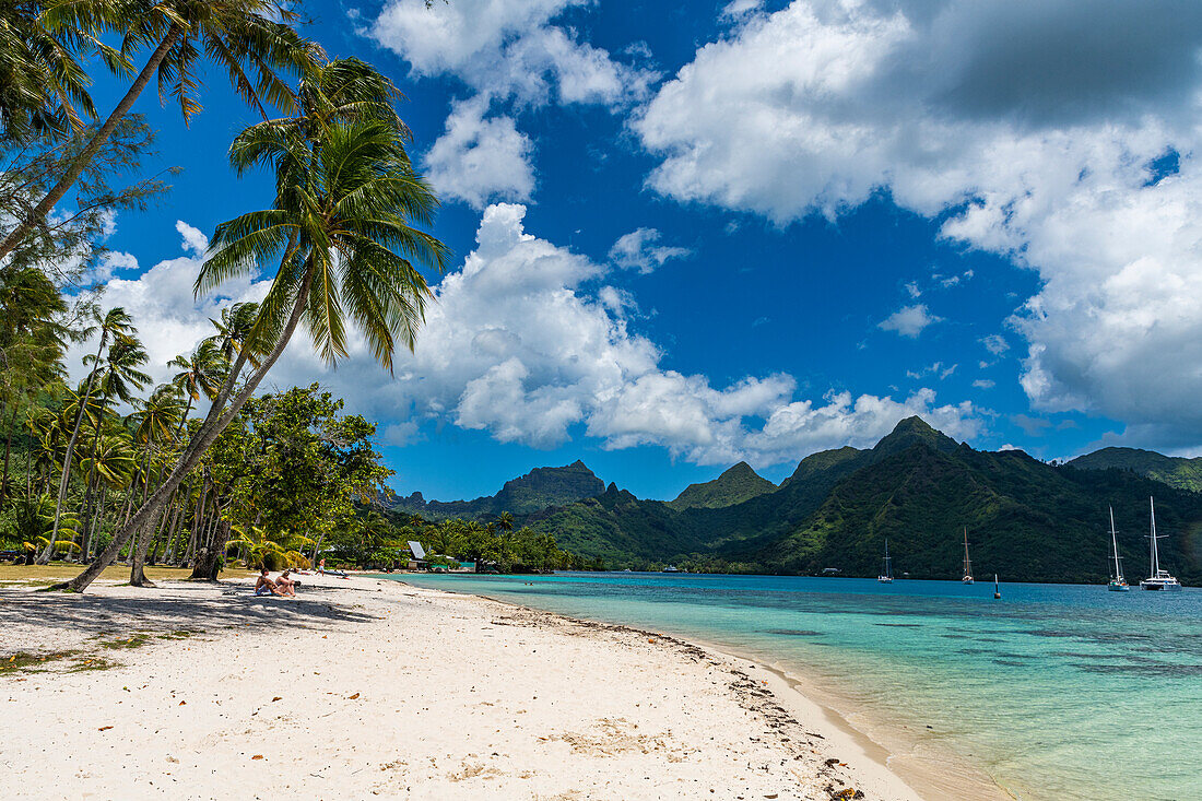 White sand Public Beach Ta'ahiamanu, Moorea (Mo'orea), Society Islands, French Polynesia, South Pacific, Pacific