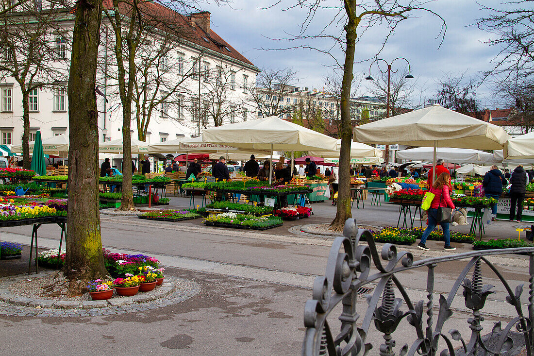 Obst- und Gemüsestände auf dem Freiluftmarkt, Ljubljana, Slowenien, Europa