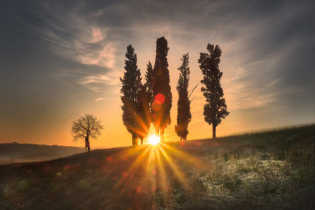 Sunrise behind a group of cypress trees with a sunburst filtering through them, Italy, Europe