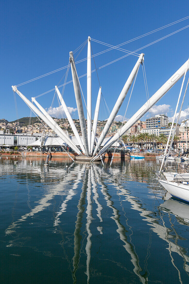 Ancient harbor, Genoa, Liguria, Italy, Europe