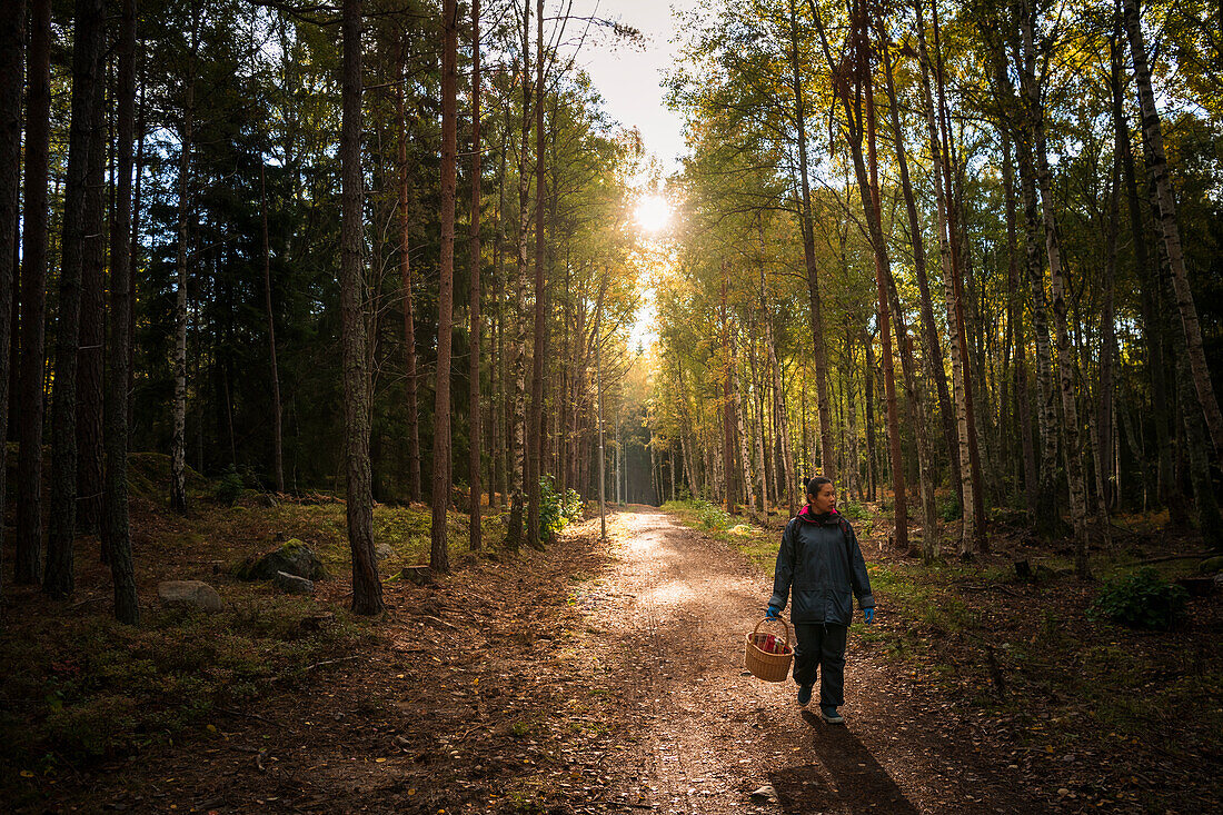 Frau beim Pilzesammeln im Wald