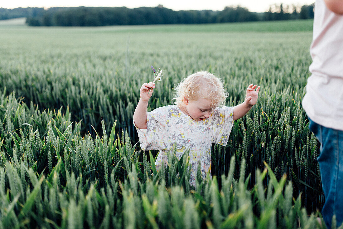 Girl walking through wheat field