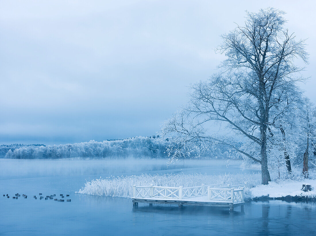 View of winter lakeshore