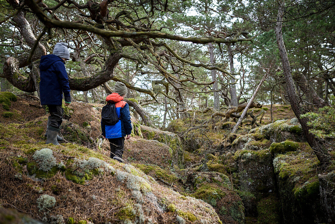 Jungen gehen durch den Wald