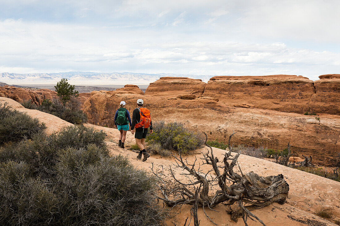 Hikers in rocky landscape