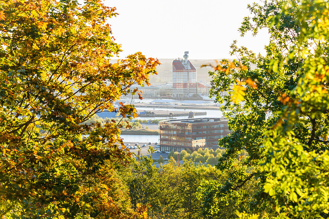 Buildings seen through trees