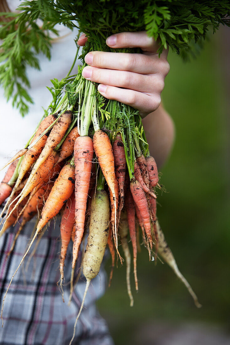 Woman holding fresh carrot and parsley