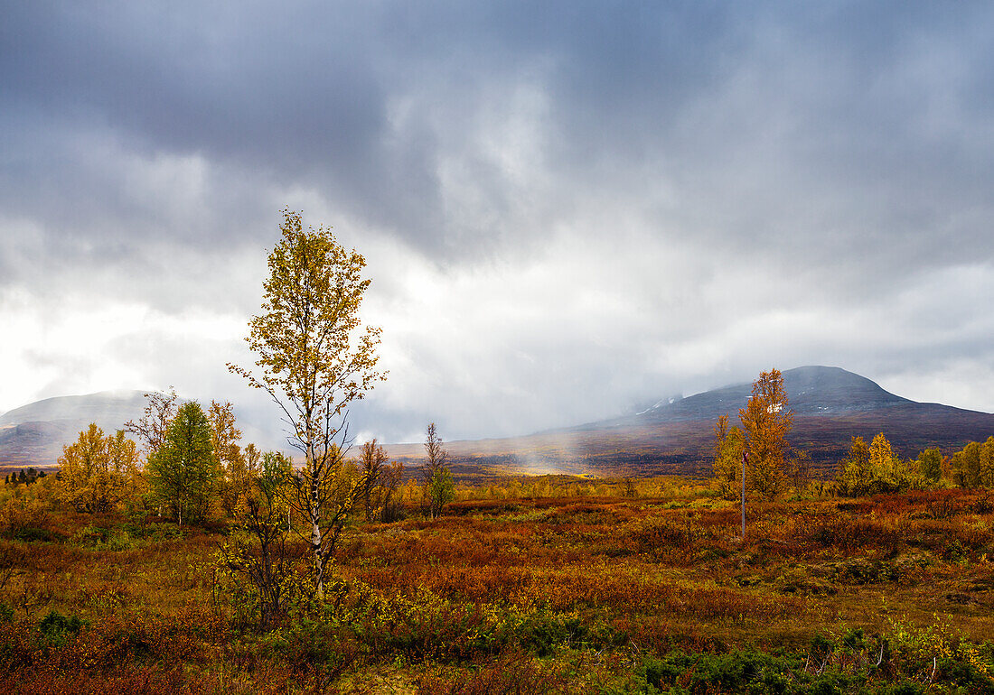 Majestic landscape on sunny day