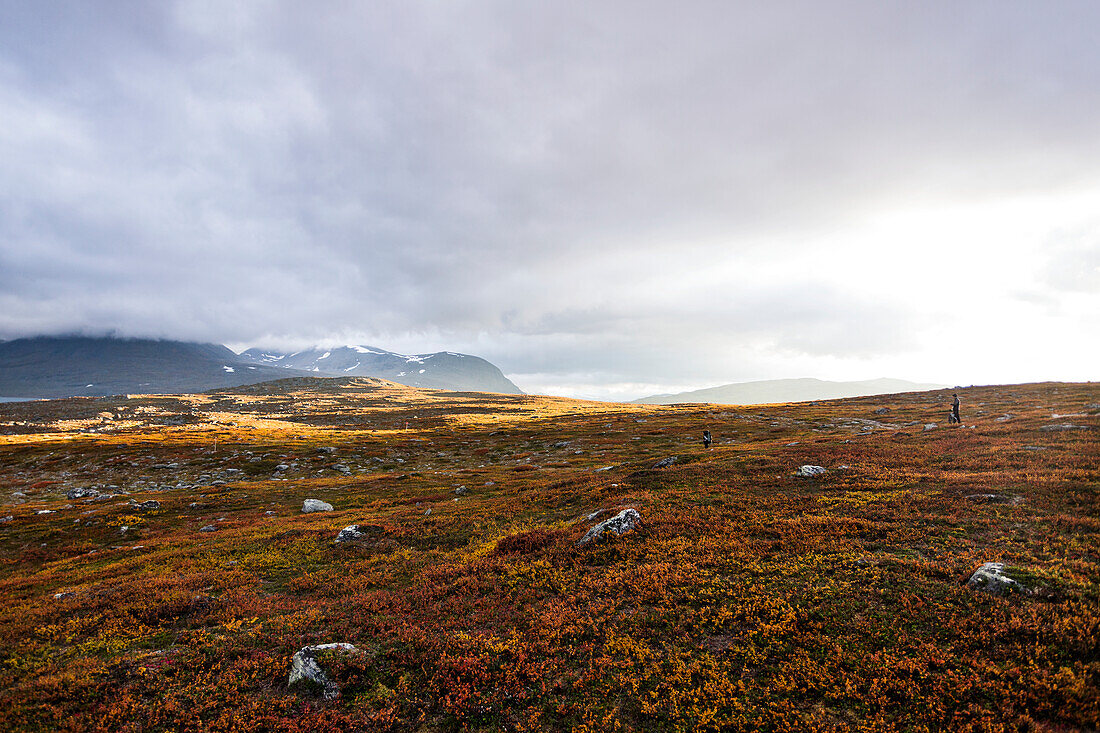 Rocks on meadow