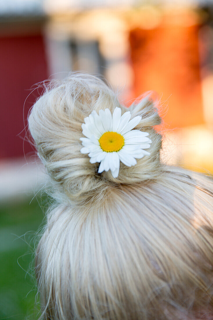 Blume im Haar