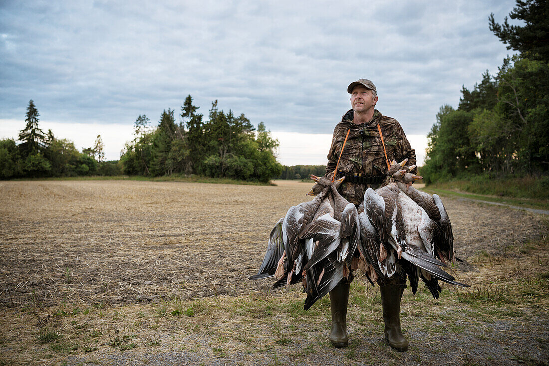 Hunter carrying dead geese