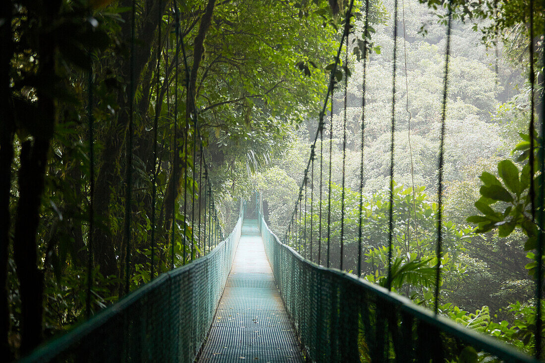 Blick auf Hängebrücke im Wald