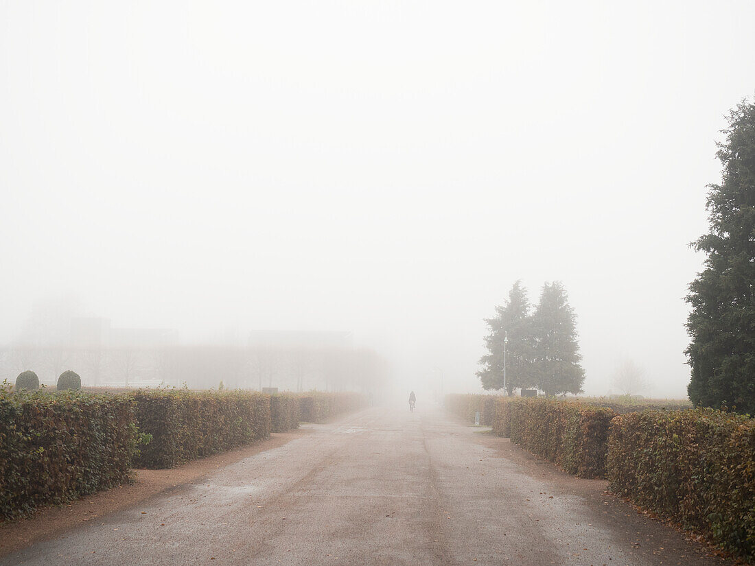 Formal garden in fog