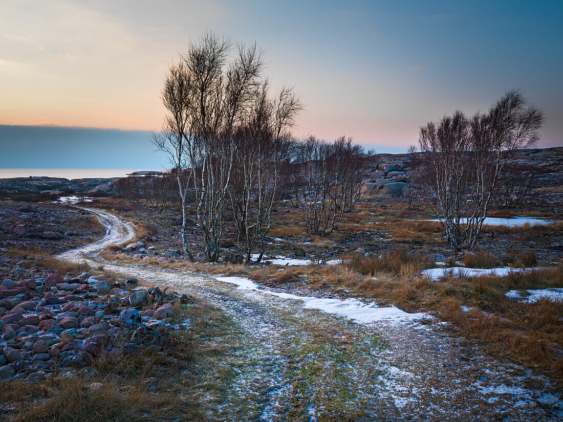 Winter landscape at dusk