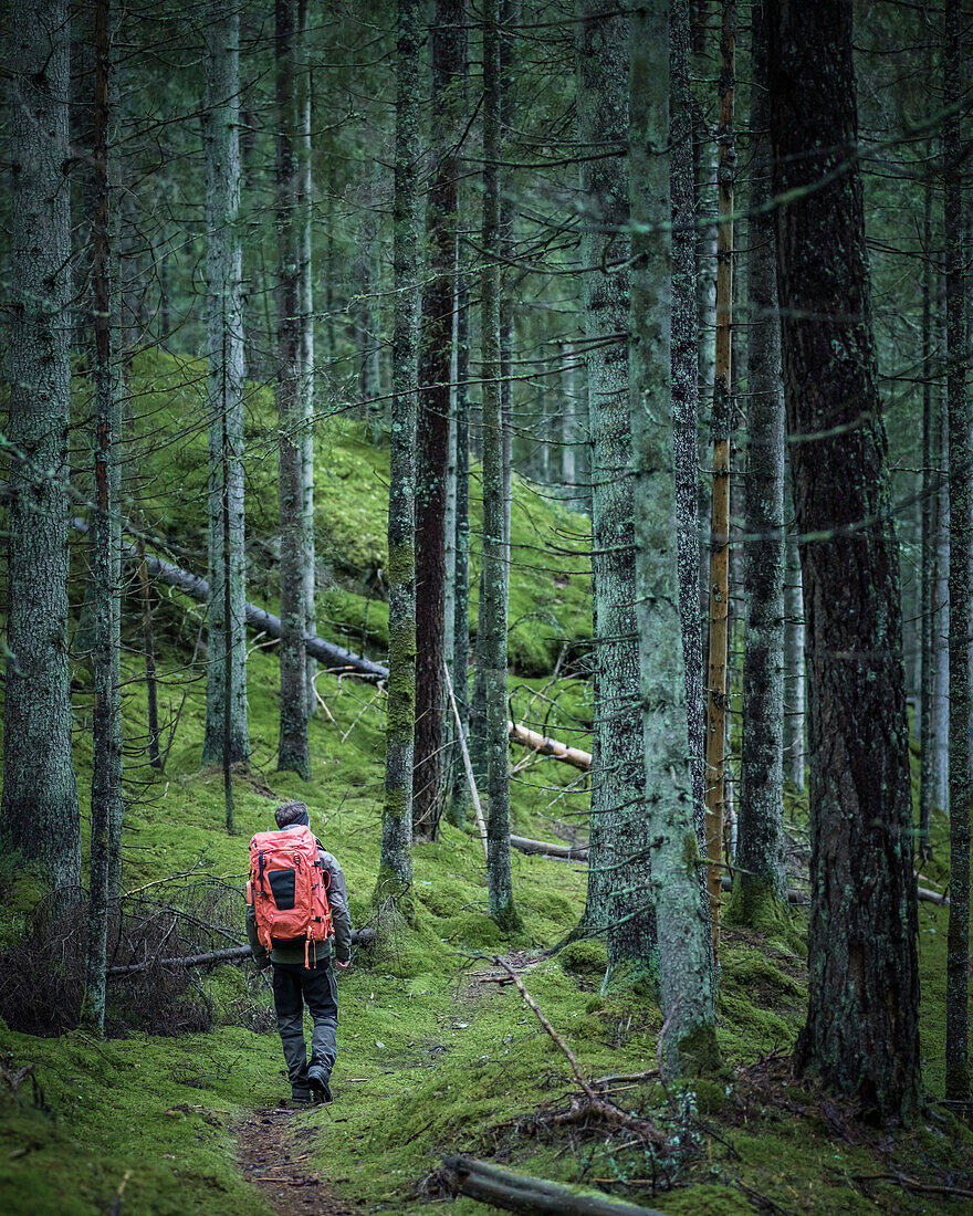 Man hiking through forest