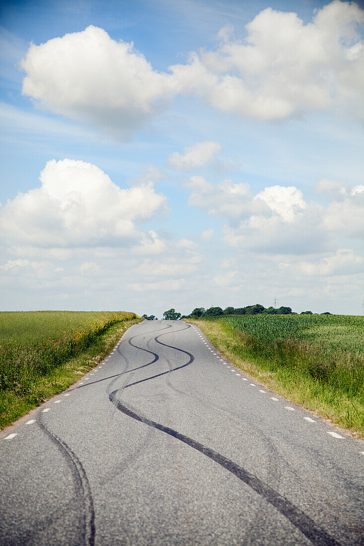 Reifenspuren auf Landstraße