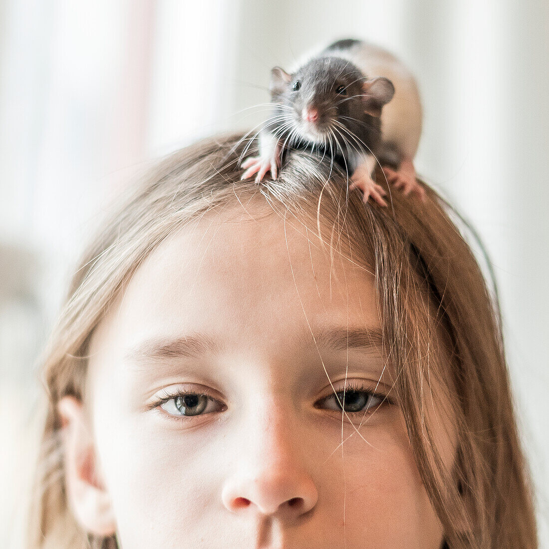 Mädchen mit Hausratte auf dem Kopf