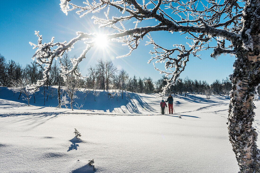 Two people snowshoeing at sunny day