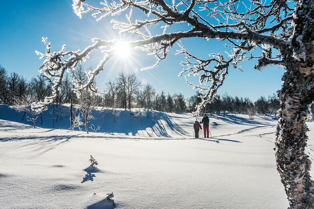 Zwei Personen beim Schneeschuhwandern an einem sonnigen Tag