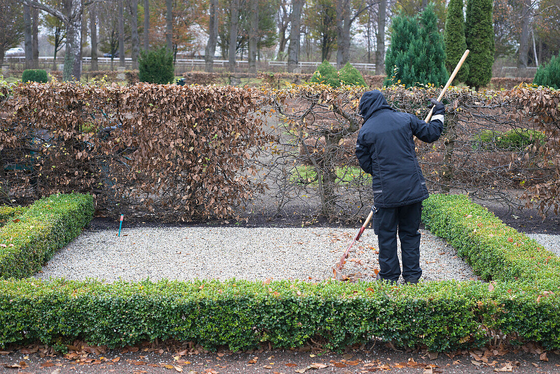 Man working in garden