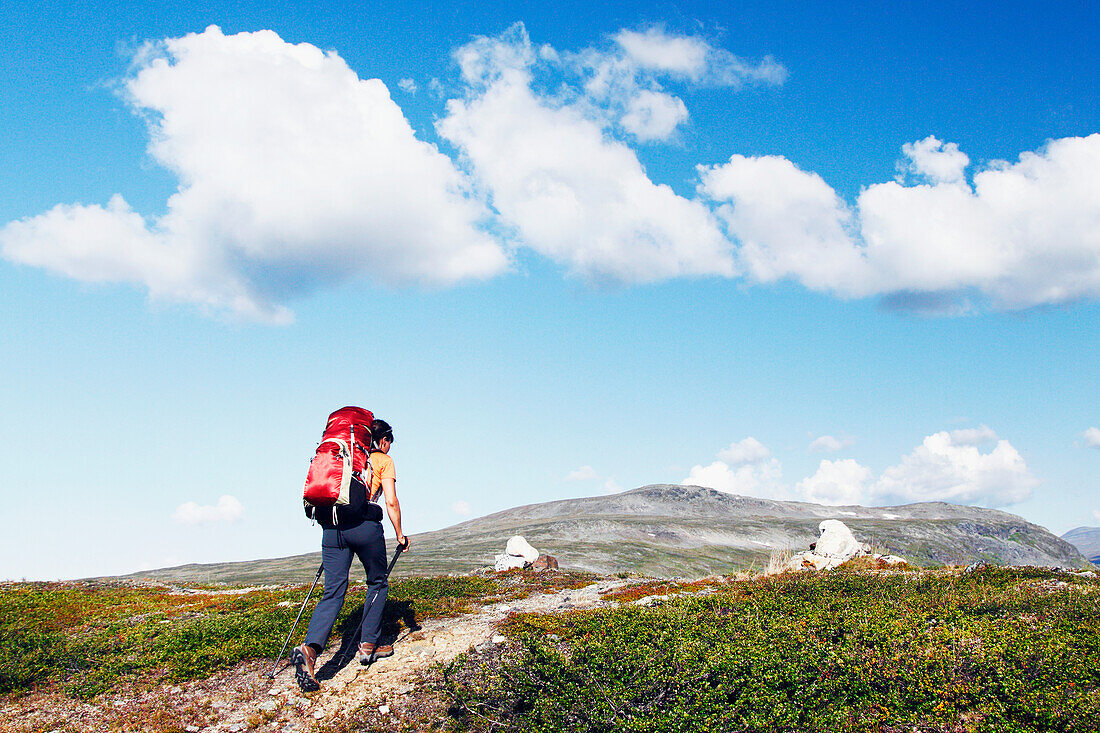 Hiker in mountains