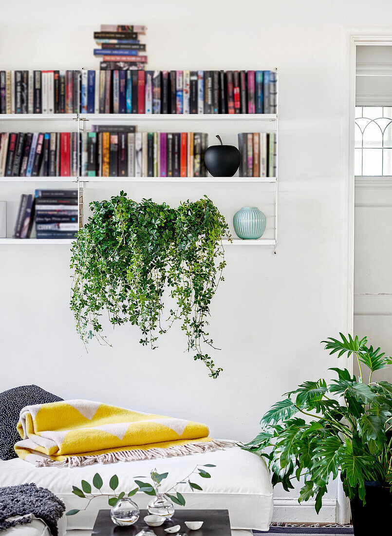 Bücherregal im Wohnzimmer