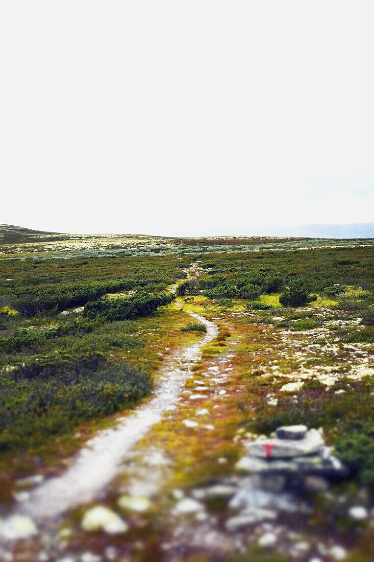 Path through remote landscape
