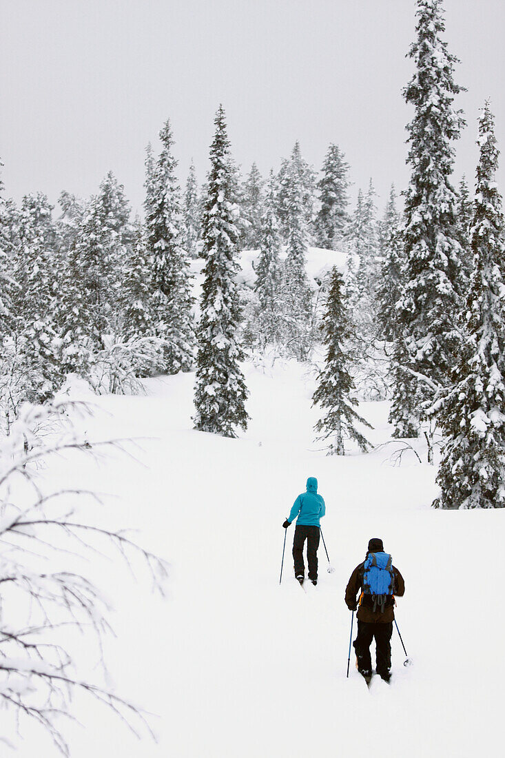 Women skiing in winter forest