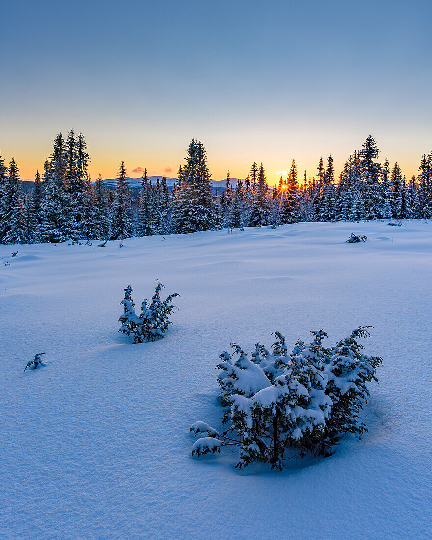 Winter landscape at sunrise