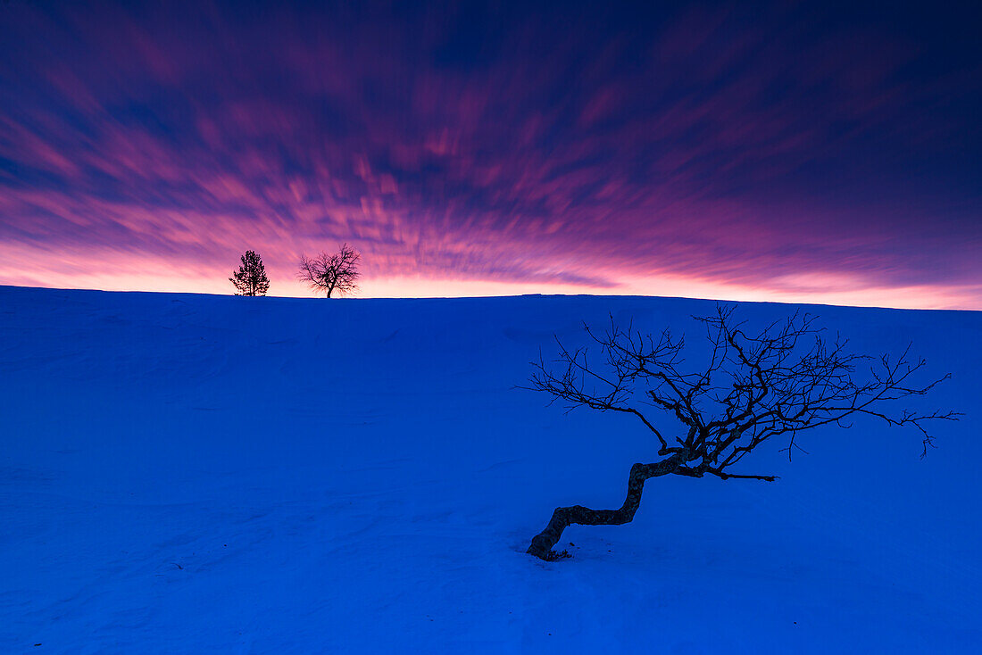 Winterlandschaft in der Morgendämmerung