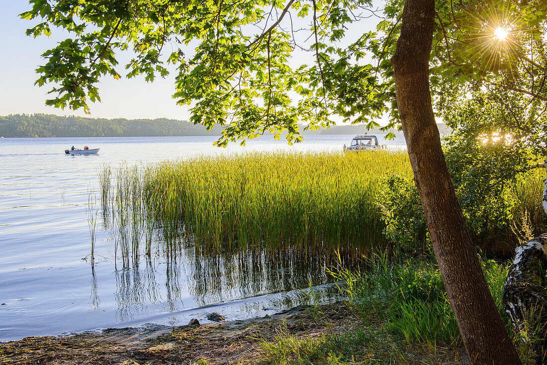 View of lake