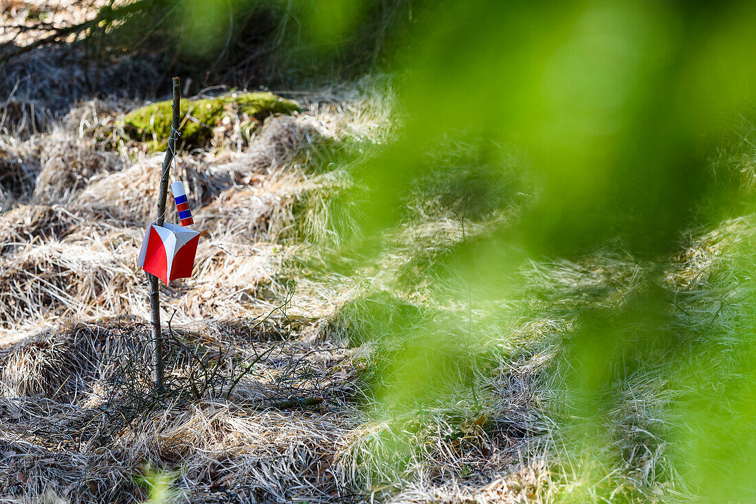 Schild auf Ast im Wald