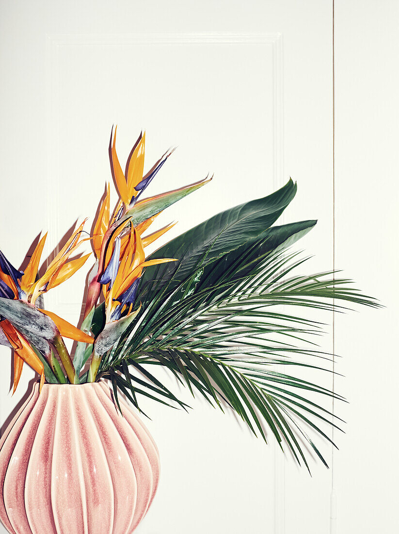 Bird of paradise flowers in vase