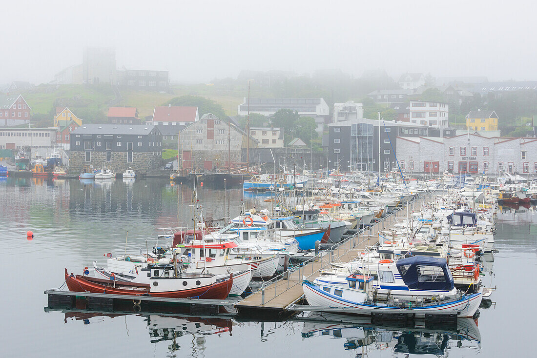 Moored fishing boats