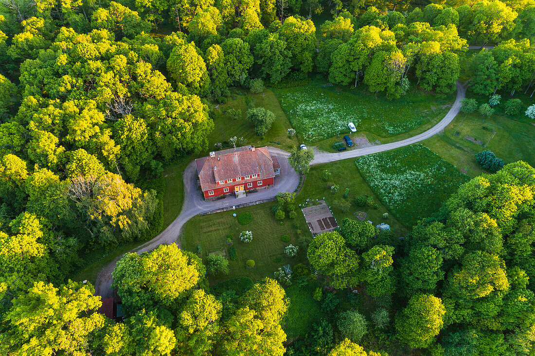 House surrounded by trees