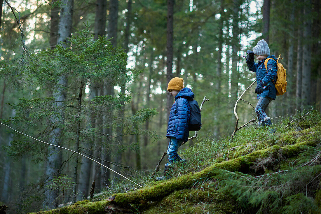 Boys in forest walking on tree trunk