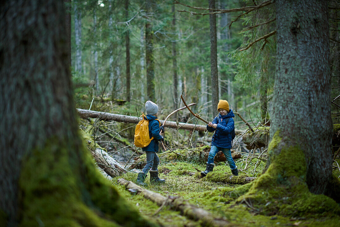 Boys playing in forest