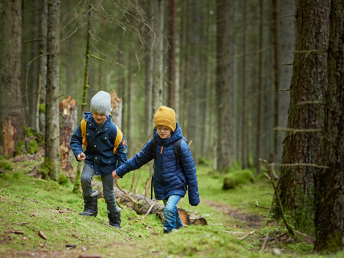 Boys walking in forest