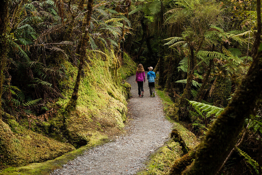 Children walking through forest