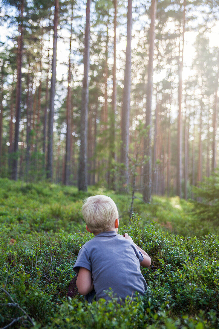 Boy picking blueberries