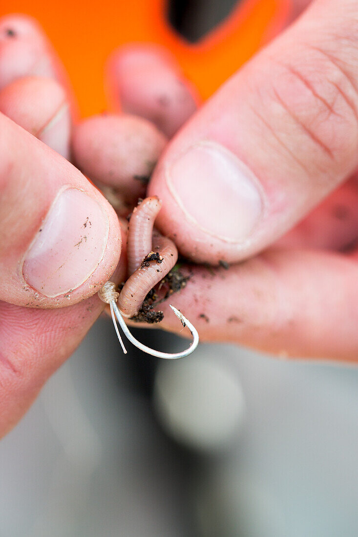 Putting worm on hook