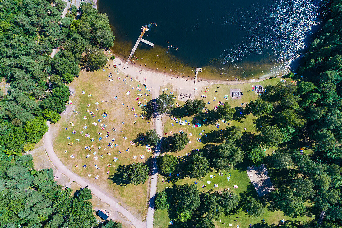 Aerial view of beach