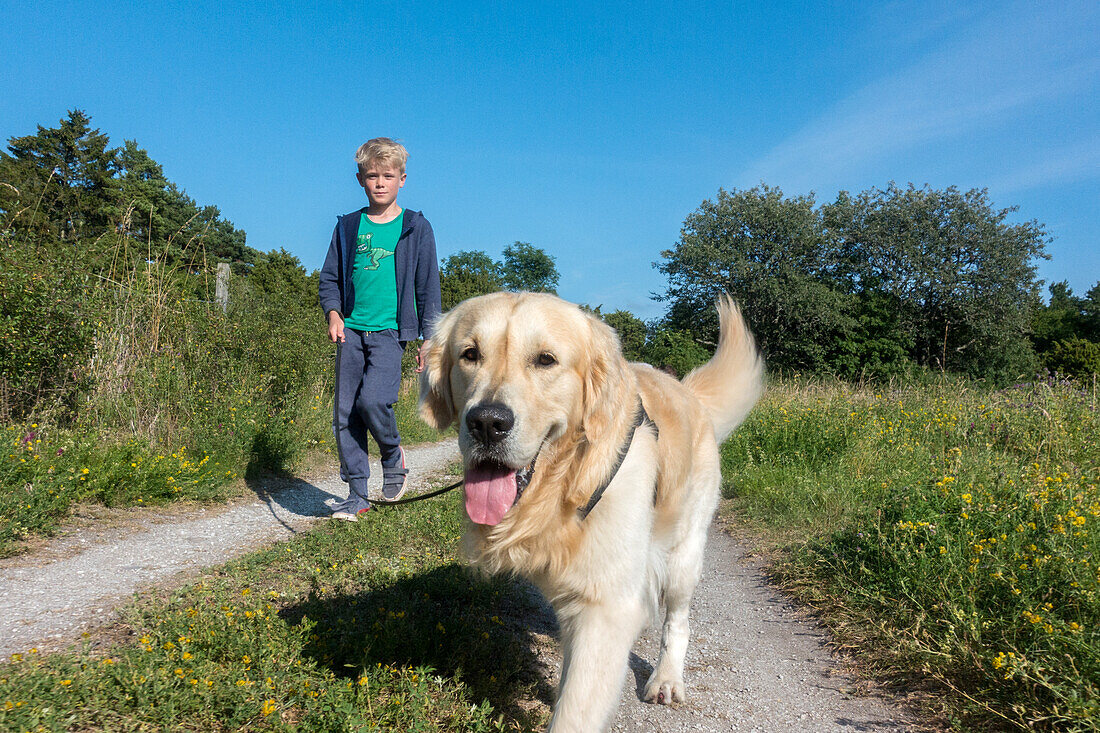 Boy walking dog