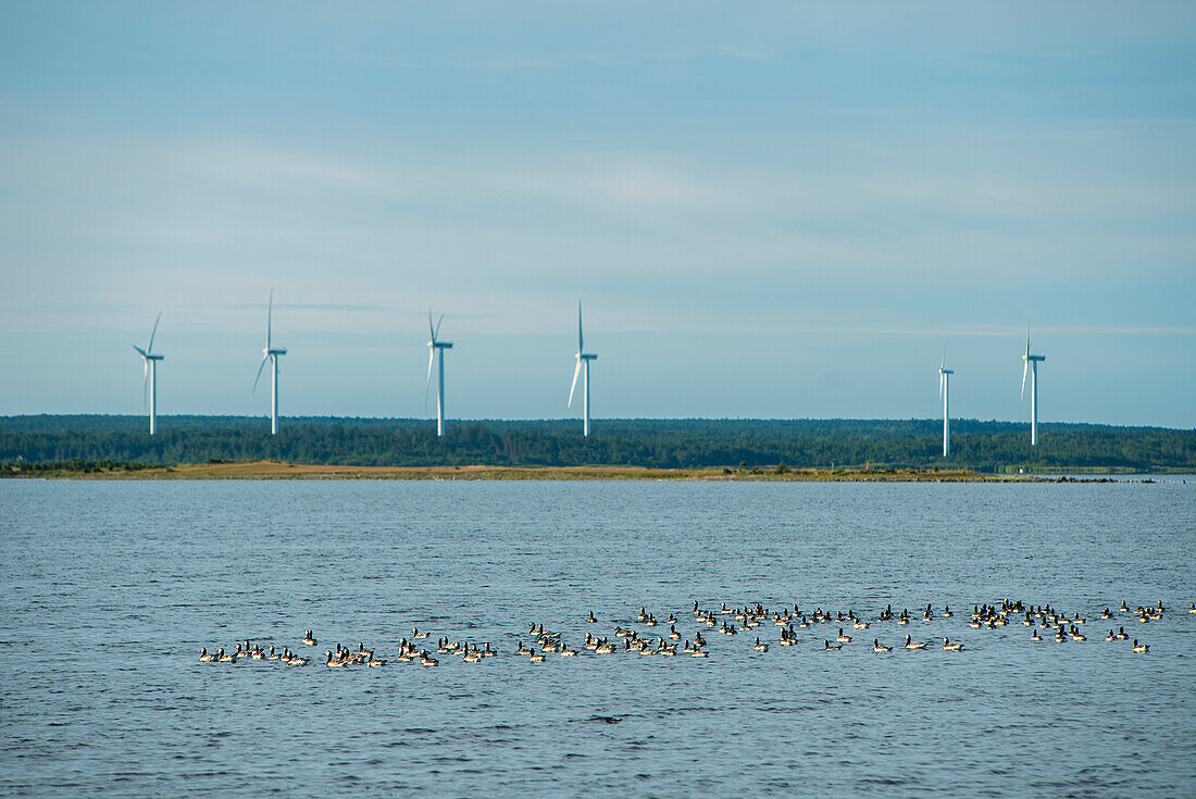 Wind turbines at sea