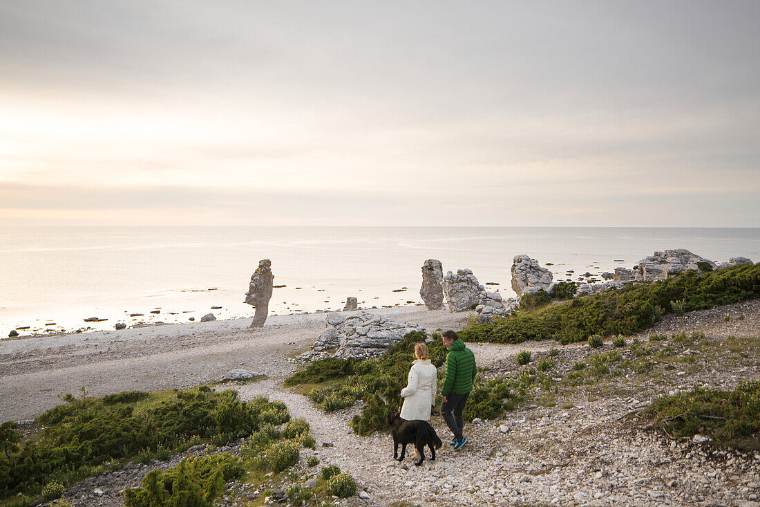 Couple walking with dog at seaside